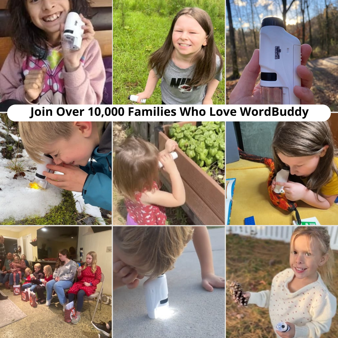 The WordBuddy MiniScope